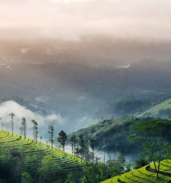 Munnar Vagamon Tour Package