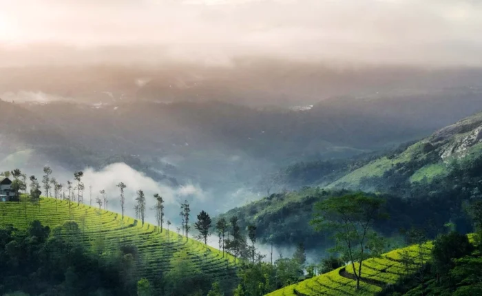 Munnar Vagamon Tour Package