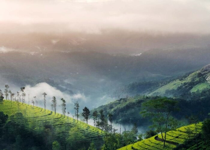 Kerala - Vagamon Hills