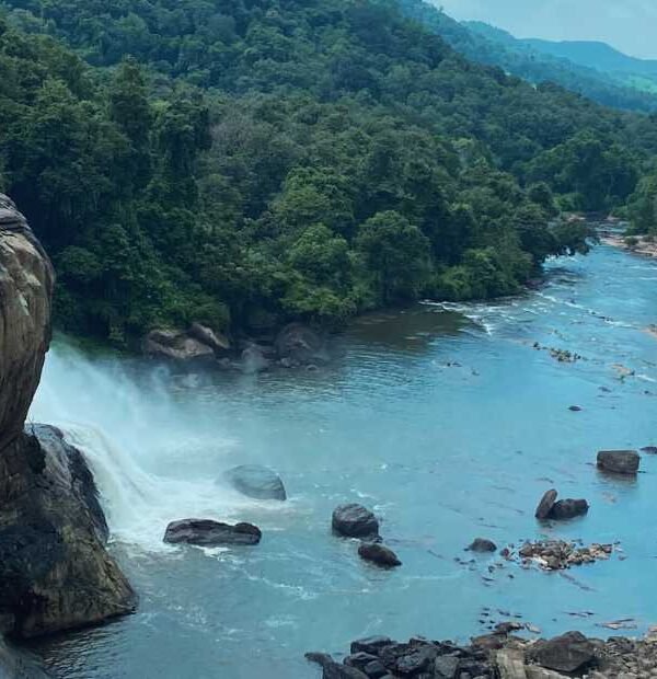 Book Cochin – Alleppey - Athirapally Tour Package