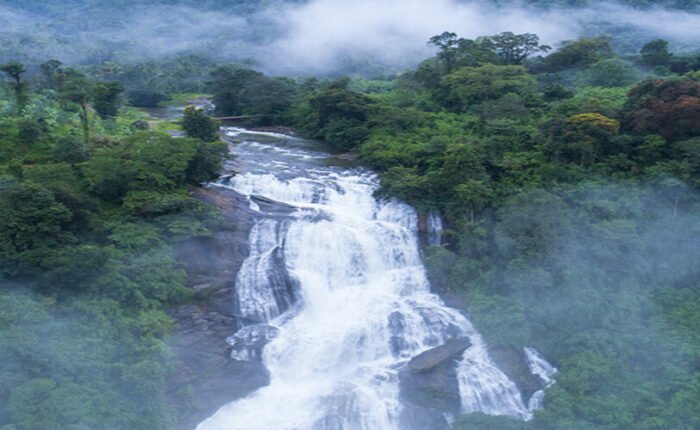Munnar Falls Tour Banner